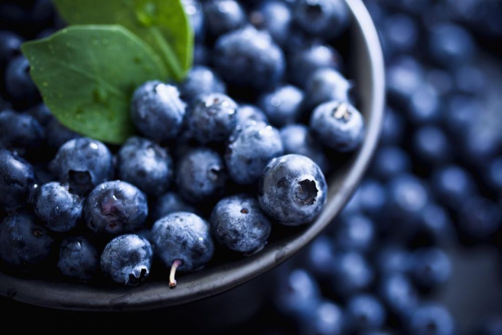 Beberapa Manfaat Sehat Blueberry Yang Sangat Menggiurkan Sekali Lho!